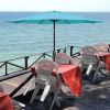 Simple Deluxe 9' Patio Umbrella Outdoor Table Market Yard Umbrella with Push Button Tilt/Crank, 8 Sturdy Ribs for Garden, Deck, Backyard, Pool